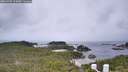 ./images/calvert/lookout/20260702/lookout20260702_114501M.jpg
