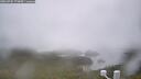 ./images/calvert/lookout/20260702/lookout20260702_170001M.jpg