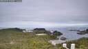 ./images/calvert/lookout/20260703/lookout20260703_102001M.jpg