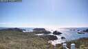 ./images/calvert/lookout/20260704/lookout20260704_172002M.jpg