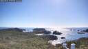 ./images/calvert/lookout/20260704/lookout20260704_173737M.jpg