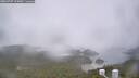 ./images/calvert/lookout/20260707/lookout20260707_125001M.jpg