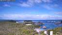 ./images/calvert/lookout/20260708/lookout20260708_103001M.jpg