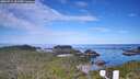 ./images/calvert/lookout/20260714/lookout20260714_091501M.jpg