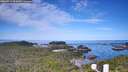 ./images/calvert/lookout/20260714/lookout20260714_093001M.jpg