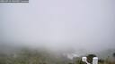 ./images/calvert/lookout/20260716/lookout20260716_141501M.jpg
