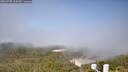 ./images/calvert/lookout/20260720/lookout20260720_105501M.jpg