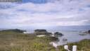 ./images/calvert/lookout/20260726/lookout20260726_113001M.jpg