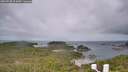 ./images/calvert/lookout/20260728/lookout20260728_104501M.jpg