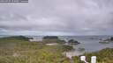 ./images/calvert/lookout/20260728/lookout20260728_105001M.jpg