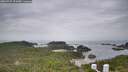./images/calvert/lookout/20260729/lookout20260729_101002M.jpg