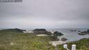 ./images/calvert/lookout/20260730/lookout20260730_091001M.jpg