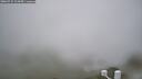 ./images/calvert/lookout/20260731/lookout20260731_114501M.jpg