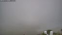 ./images/calvert/lookout/20260731/lookout20260731_145002M.jpg