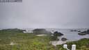 ./images/calvert/lookout/20260801/lookout20260801_083002M.jpg