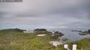 ./images/calvert/lookout/20260818/lookout20260818_093001M.jpg
