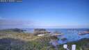 ./images/calvert/lookout/20260819/lookout20260819_084002M.jpg