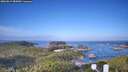 ./images/calvert/lookout/20260819/lookout20260819_085001M.jpg