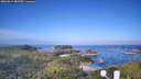 ./images/calvert/lookout/20260819/lookout20260819_085502M.jpg
