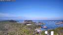 ./images/calvert/lookout/20260819/lookout20260819_090501M.jpg