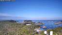 ./images/calvert/lookout/20260819/lookout20260819_091001M.jpg