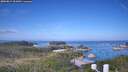 ./images/calvert/lookout/20260819/lookout20260819_101001M.jpg