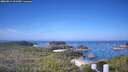 ./images/calvert/lookout/20260819/lookout20260819_101501M.jpg
