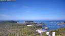 ./images/calvert/lookout/20260819/lookout20260819_103001M.jpg