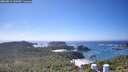 ./images/calvert/lookout/20260819/lookout20260819_143501M.jpg
