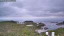 ./images/calvert/lookout/20260824/lookout20260824_063501M.jpg