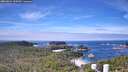 ./images/calvert/lookout/20260824/lookout20260824_110501M.jpg