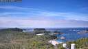 ./images/calvert/lookout/20260824/lookout20260824_113001M.jpg