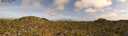 ./images/calvert/refstation/20260526/refstation20260526_172501M.jpg