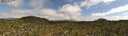 ./images/calvert/refstation/20260617/refstation20260617_160001M.jpg