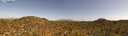 ./images/calvert/refstation/20260618/refstation20260618_164001M.jpg