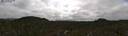 ./images/calvert/refstation/20260719/refstation20260719_114501M.jpg