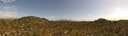 ./images/calvert/refstation/20260723/refstation20260723_151002M.jpg