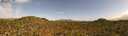 ./images/calvert/refstation/20260723/refstation20260723_173501M.jpg