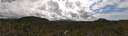 ./images/calvert/refstation/20260726/refstation20260726_114002M.jpg