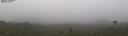./images/calvert/refstation/20260804/refstation20260804_080001M.jpg