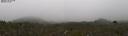 ./images/calvert/refstation/20260804/refstation20260804_104501M.jpg