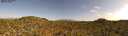 ./images/calvert/refstation/20260805/refstation20260805_165501M.jpg