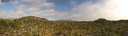./images/calvert/refstation/20260805/refstation20260805_172001M.jpg