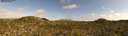 ./images/calvert/refstation/20260808/refstation20260808_172501M.jpg