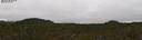 ./images/calvert/refstation/20260810/refstation20260810_083001M.jpg