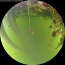 ./images/calvert/underwater/20260520/underwater20260520_180501M.jpg