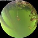 ./images/calvert/underwater/20260520/underwater20260520_181001M.jpg