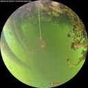 ./images/calvert/underwater/20260520/underwater20260520_182501M.jpg