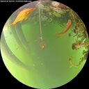 ./images/calvert/underwater/20260520/underwater20260520_183501M.jpg