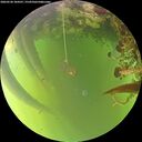 ./images/calvert/underwater/20260520/underwater20260520_184501M.jpg